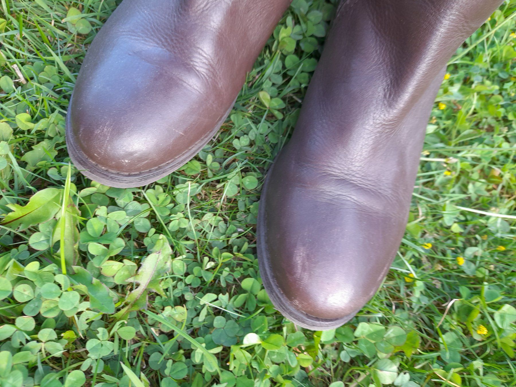 Aldo Damenschuhe: Bottes hautes ALDO marron, taille 36 – Gebraucht aus Les Geneveys-sur-Coffrane von papoute 2