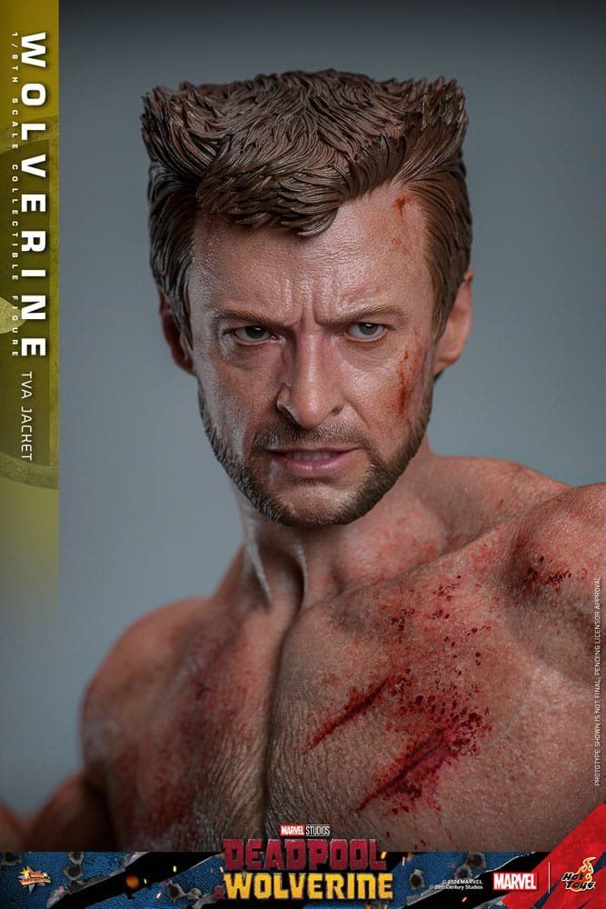 Hot Toys Statuette: Hot toys Wolverine (TVA Jacket Version) – Nuovo (secondo la descrizione) da Aarau Rohr venduto da tobinogio 3