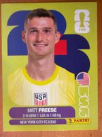 Panini USA2