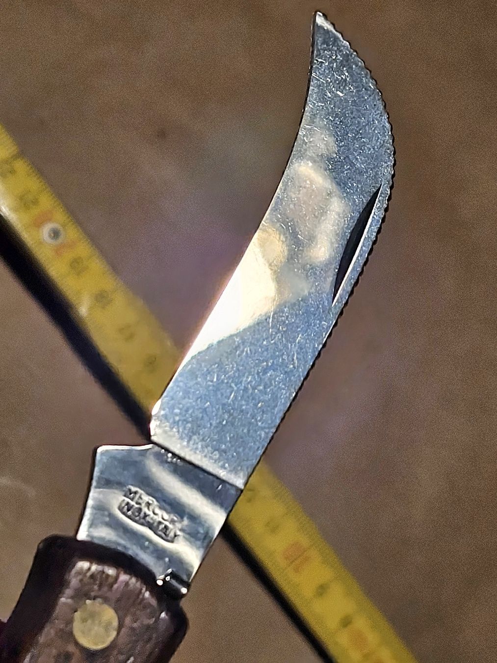 Deejo Coltelli tascabile: PILZMESSER MIT PINZETTE . – Nuovo (secondo la descrizione) da Maschwanden venduto da OliverM05 2