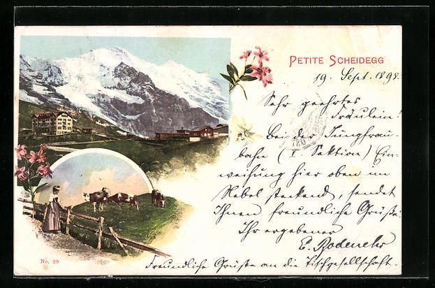 Cartoline postali: Litho Scheidegg, Ortsansicht und Rinderh – Usato da Berlin venduto da bartko-reher