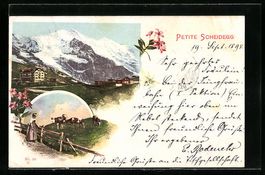 Litho Scheidegg, Ortsansicht und Rinderh