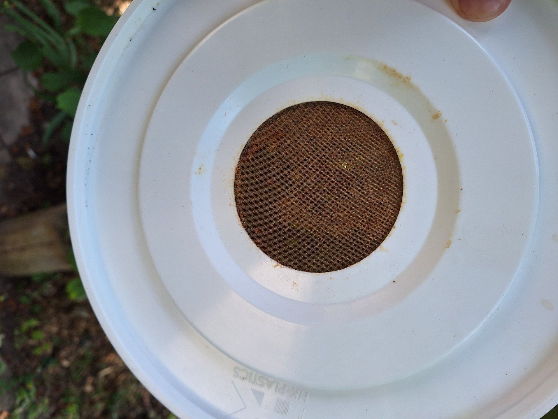 Alveari: Bienen Fütterungseimer – Nuovo (secondo la descrizione) da Ipsach venduto da nik_6hkj 2