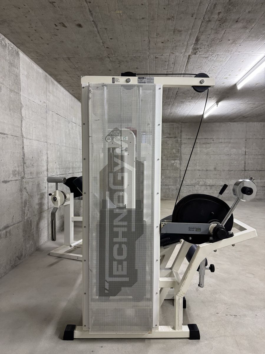 Technogym Hometrainer: Technogym Beinstrecker/ Legextension Isotonic line – Usato da Oberwil BL venduto da enn_96dc 3