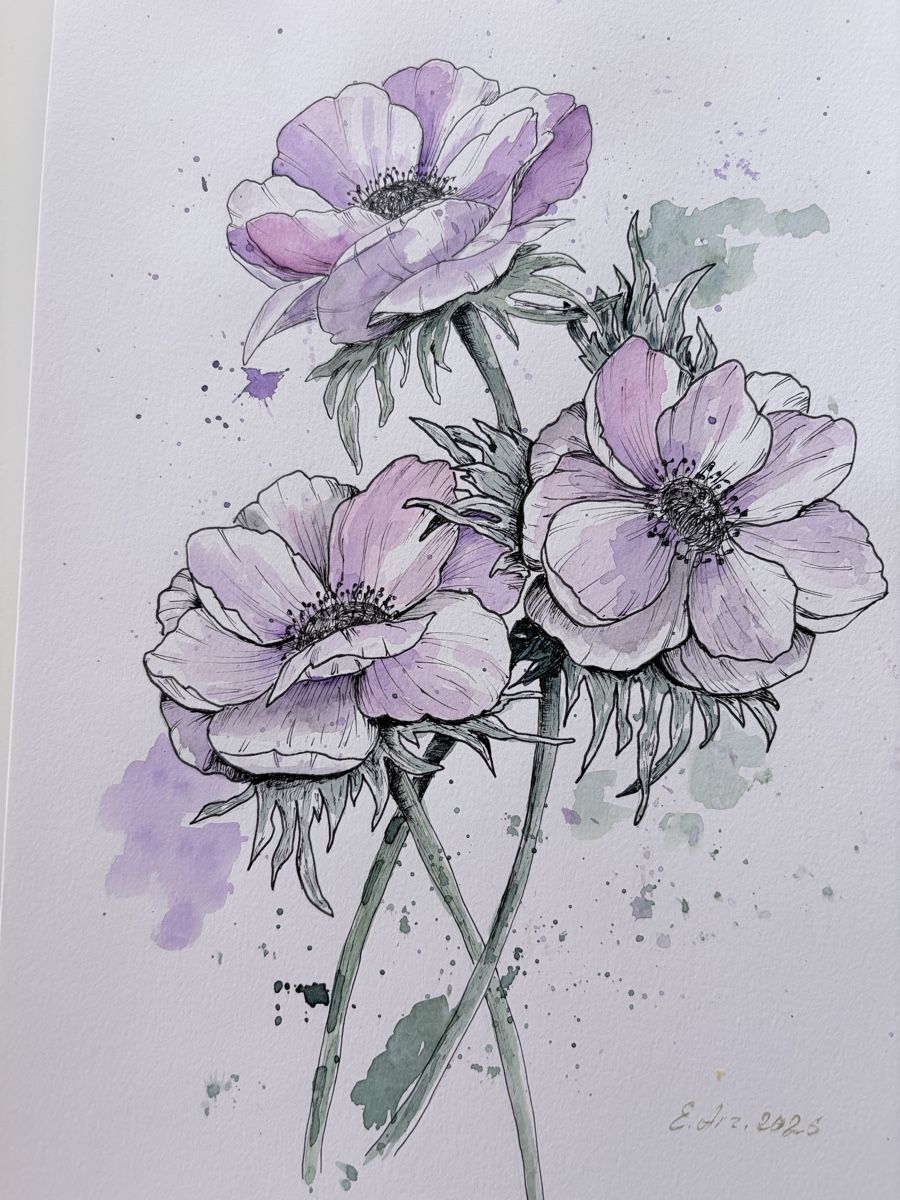 Gemälde: Gemälde Anemonen Aquarell 2026 – Neu (gemäss Beschreibung) aus Meggen von My_art_for_you