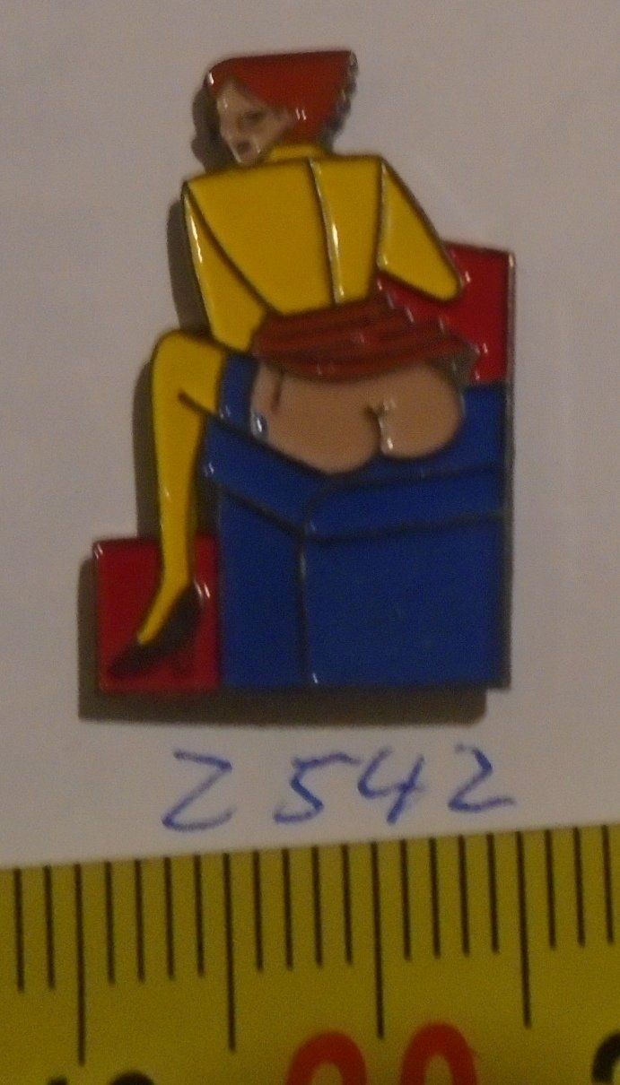 Placchette & Badge: 1 Pin (Z542) – Usato da Winterthur venduto da Beli2000