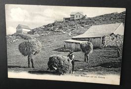 ALTE ANSICHTSKARTE HEUTRÄGER AUF DER EBENALP