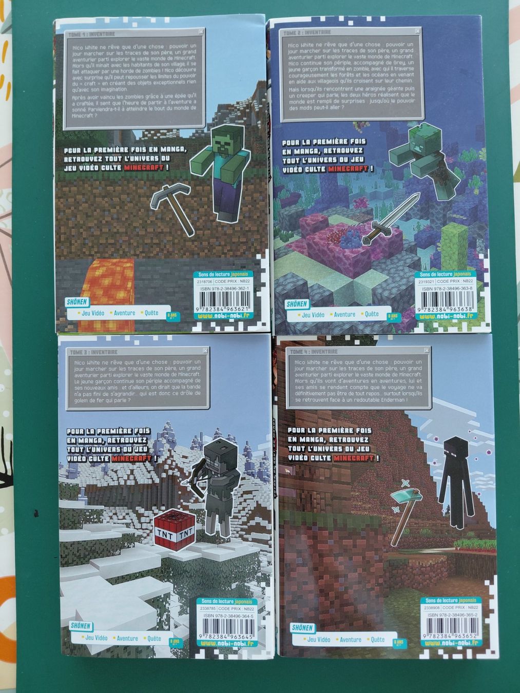 Fumetti: Manga "Minecraft" (Tomes 1-4) – Usato da Plan-les-Ouates venduto da Loul_74 1