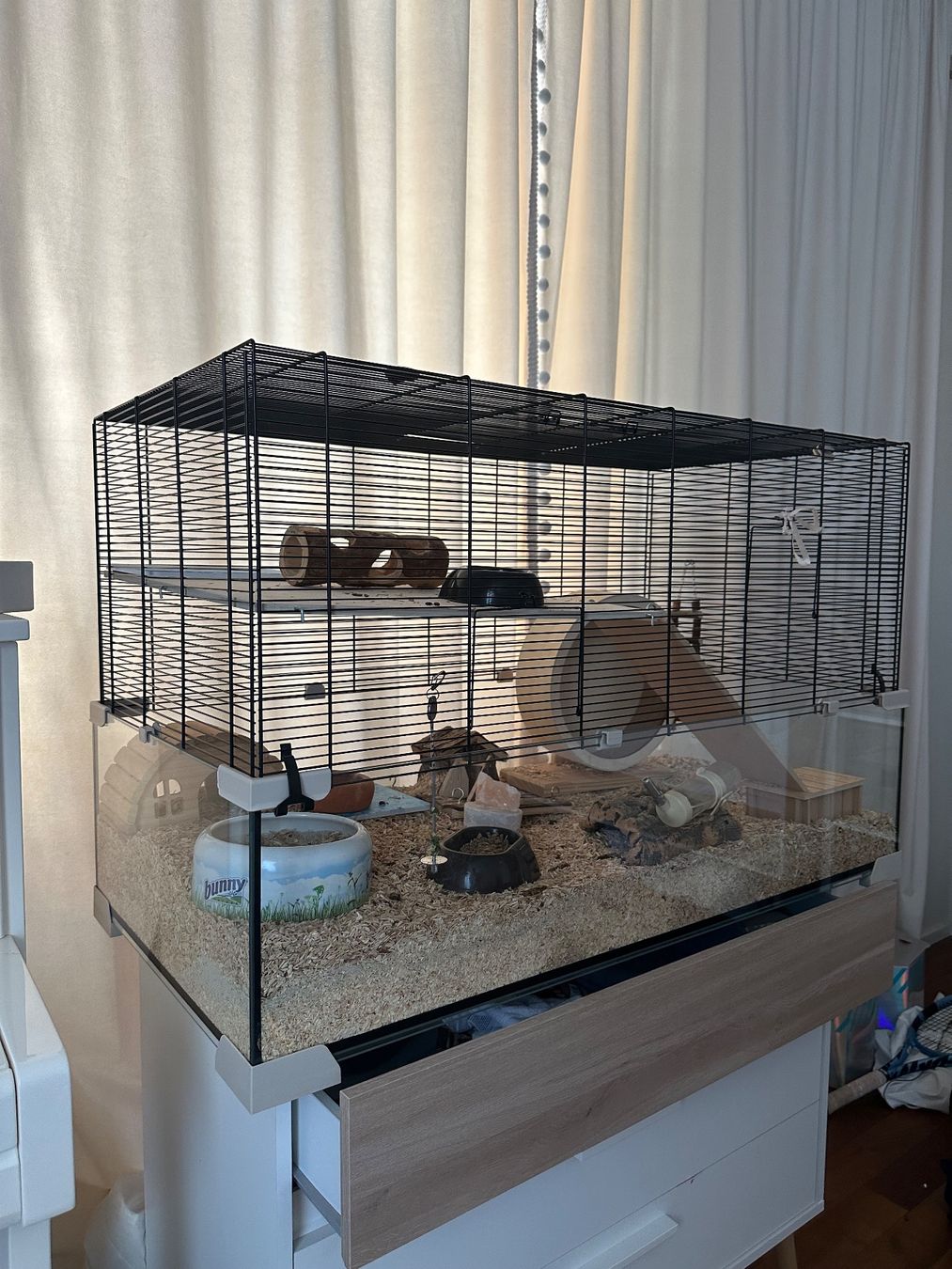 Cages, transport & sécurité: Hamster cage – D'occasion à Zürich par rom_y6h6 1