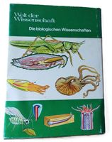 Das Leben der wirbellosen Tiere (Buch)