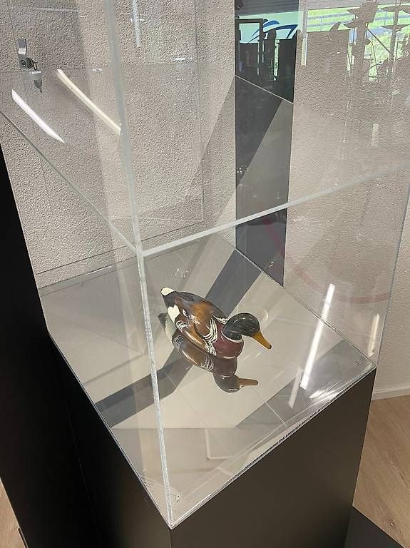 Vetrine: Mobile Vitrine mit Acrylglas und Schloss auf Rollfuss – Usato da Obernau venduto da Arche_Noah_Brocki 3