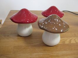 3 schöne PILZE