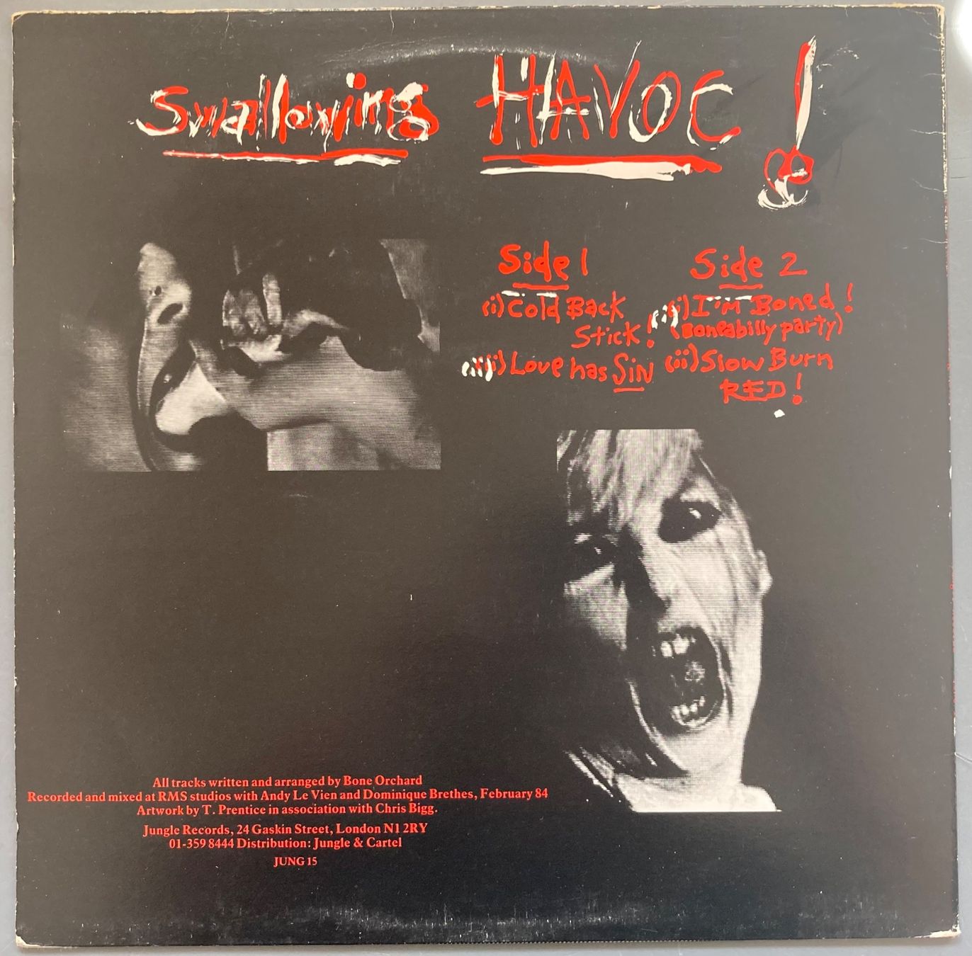Dischi in vinile: BONE ORCHARD - SWALLOWING HAVOC – Usato da Poliez-Pittet venduto da Newtown-Records 1