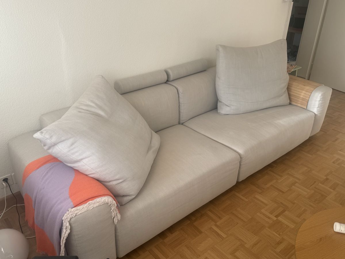 Flexform Sofas: Flexform Sofa „Lario“ – Gebraucht aus Basel von tim_c56d 2