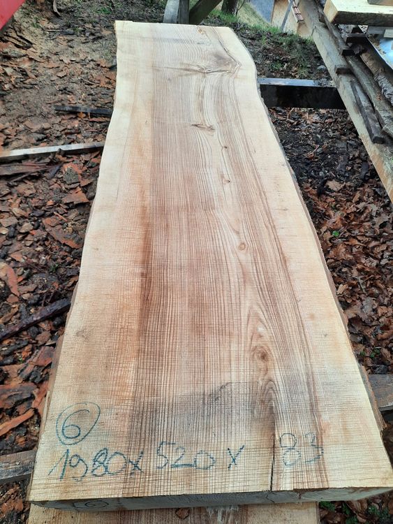 Articoli in legno: Klotzbrett Esche sehr dick – Nuovo (secondo la descrizione) da Heiligenschwendi venduto da kiplimo