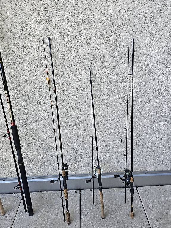 Canne da pesca: Anglerruten – Usato da Aegerten venduto da Bergbruenneli 1