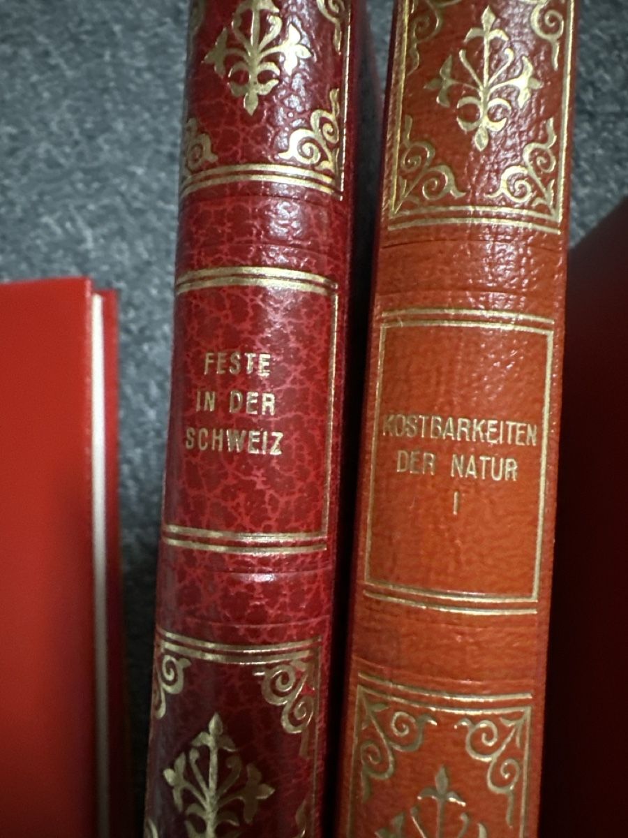 Libri: 9 Avantibücher  – Usato da Baltschieder venduto da YmroBe 2