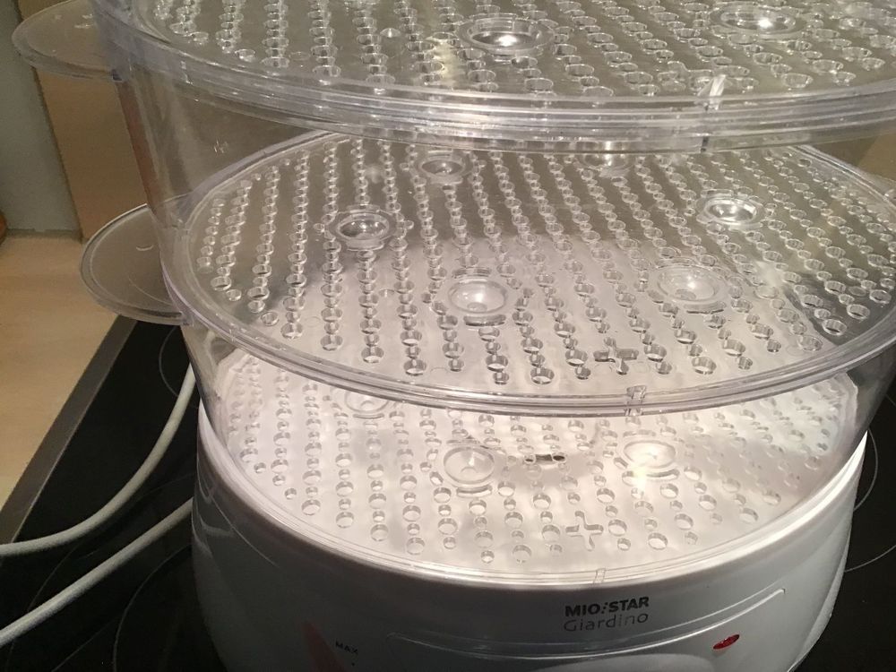 Mio Star Elettrodomestici da cucina: MioStar Giardino Dampfgarer – Nuovo (secondo la descrizione) da Gwatt (Thun) venduto da B.D.999 3