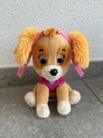 Sky Paw Patrol