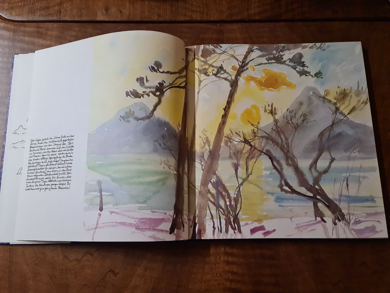 Libri: Wo das Teewasser im Kessel singt – Usato da Erstfeld venduto da Uhu1980 2