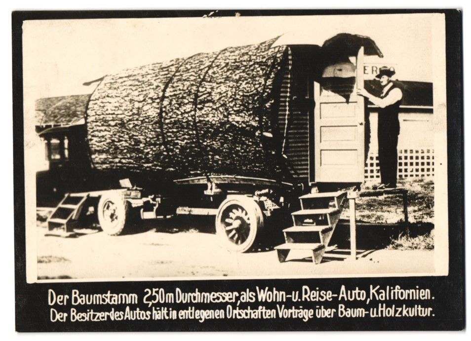 Fotografie &  Plakate: Fotografie Kalifornien, Baumstamm eines  – Gebraucht aus Berlin von bartko-reher