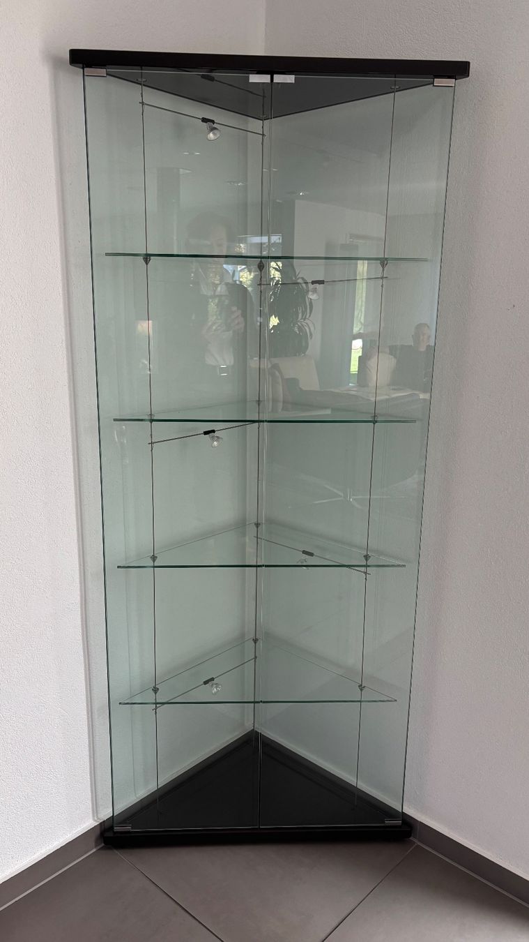 Vitrinen: Glasvitrine mit Beleuchtung – Defekt aus Ebmatingen von honeggm