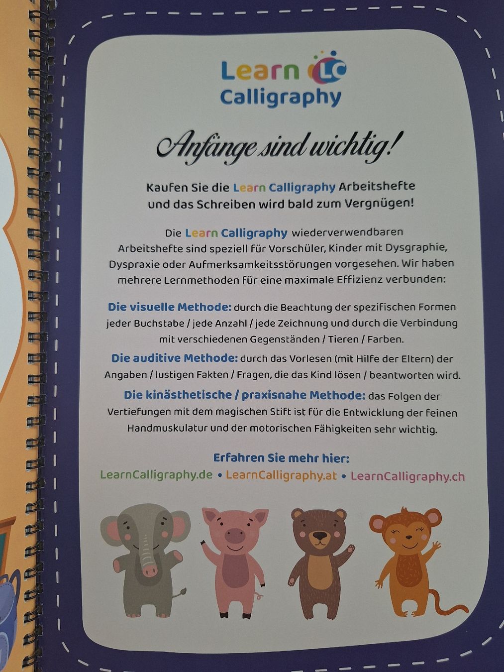 Blocchi: Junior Paket - Learn Calligraphy / Schreiblernhefte ab 4j – Nuovo (secondo la descrizione) da Buochs venduto da DasBaerchi 2