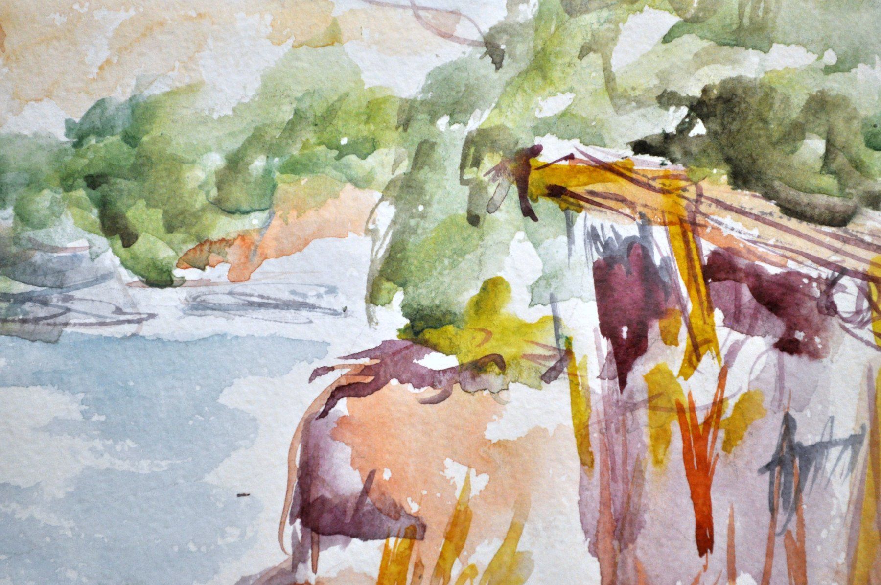 Dipinti: Aquarelle "Assouan" signée Gérald Comtesse – Usato da Neuchâtel venduto da Neuchatel 5