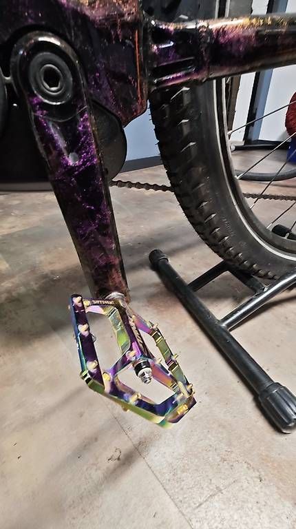 Velos: Orbea Wild HT Custom Made EMTB – Gebraucht aus Hunzenschwil von ReCycles1 1