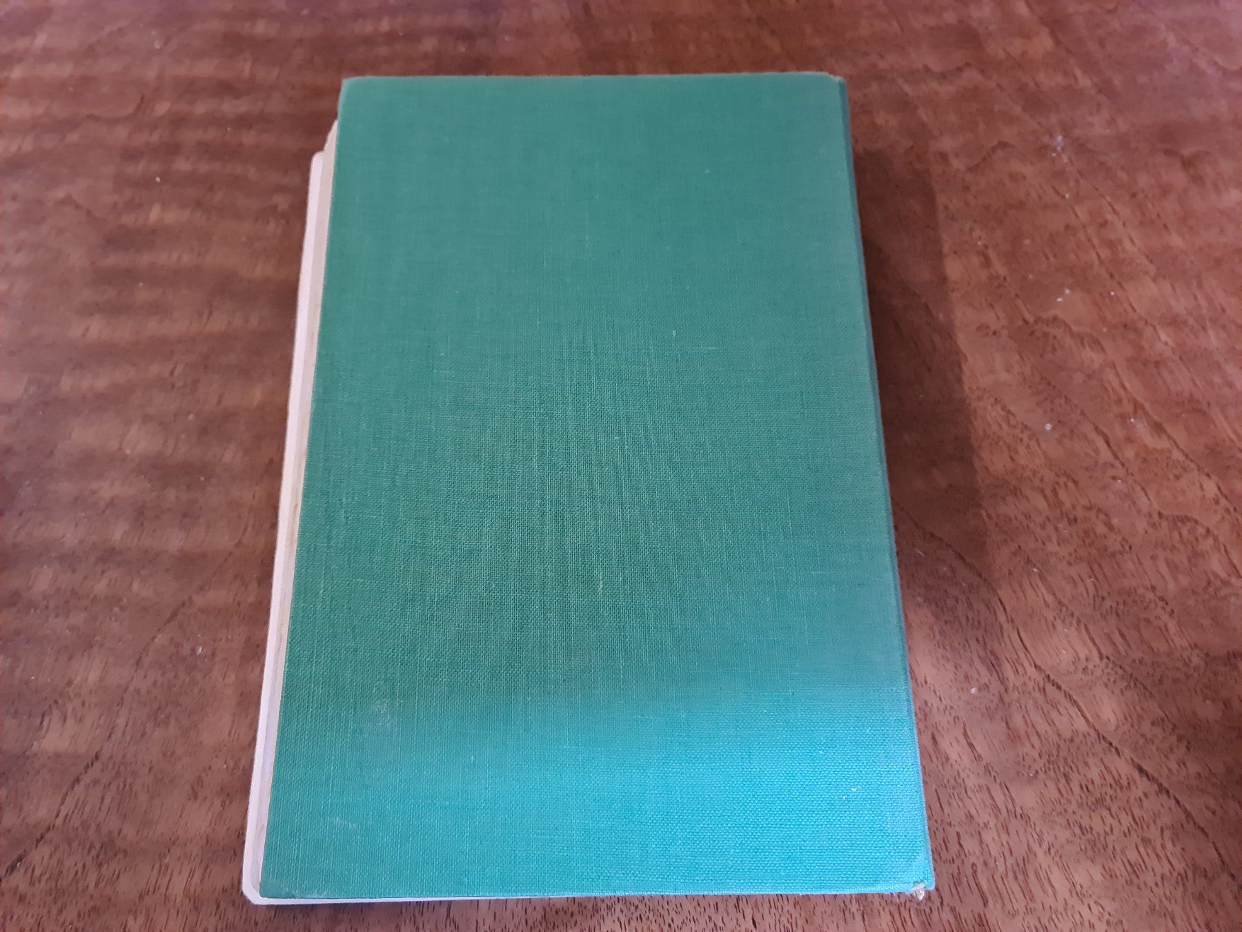 Libri: Tito die Wölfin – Usato da Erstfeld venduto da Mario_boe0 7