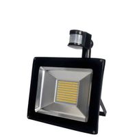 +100W Warmweiß mit Bewegungsmelder LED F