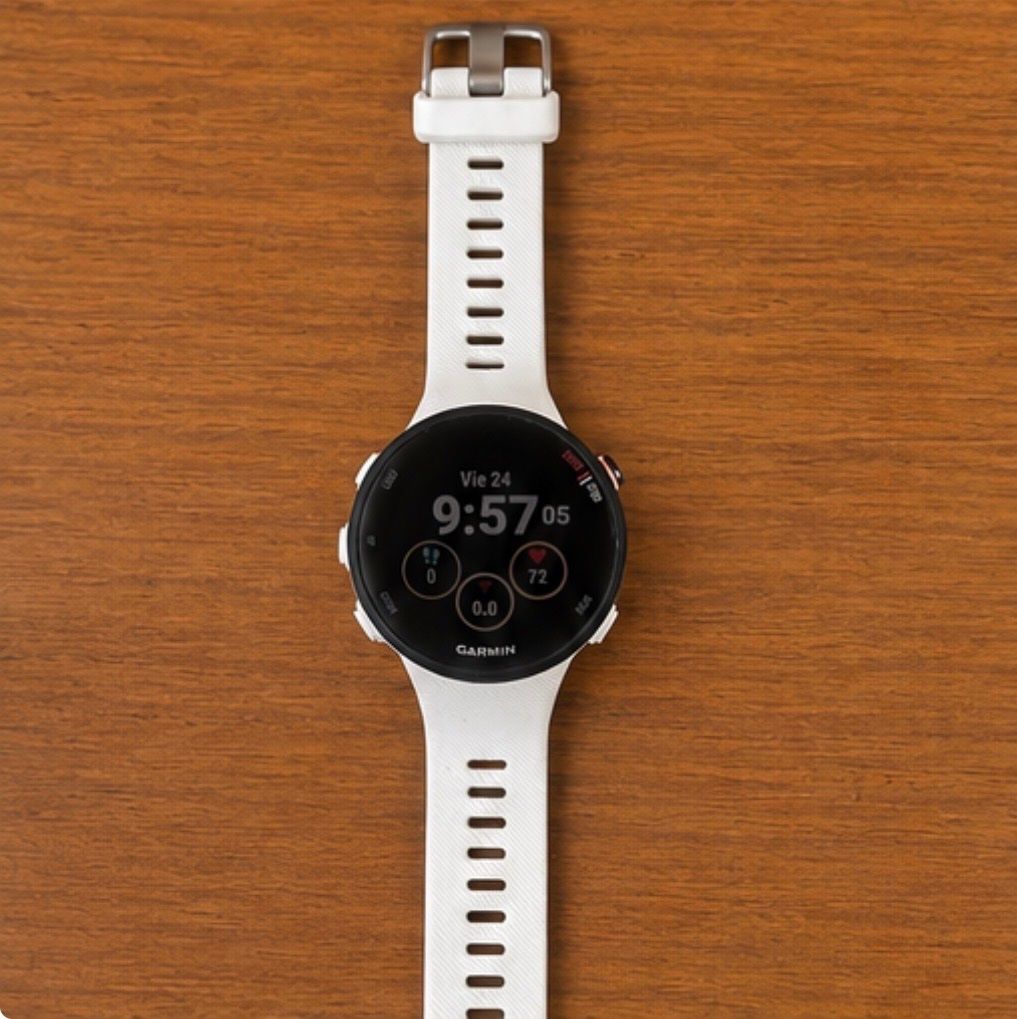 Garmin Smartwatch: Garmin Forerunner 45S – Usato da Zürich venduto da Ale_2bly 1