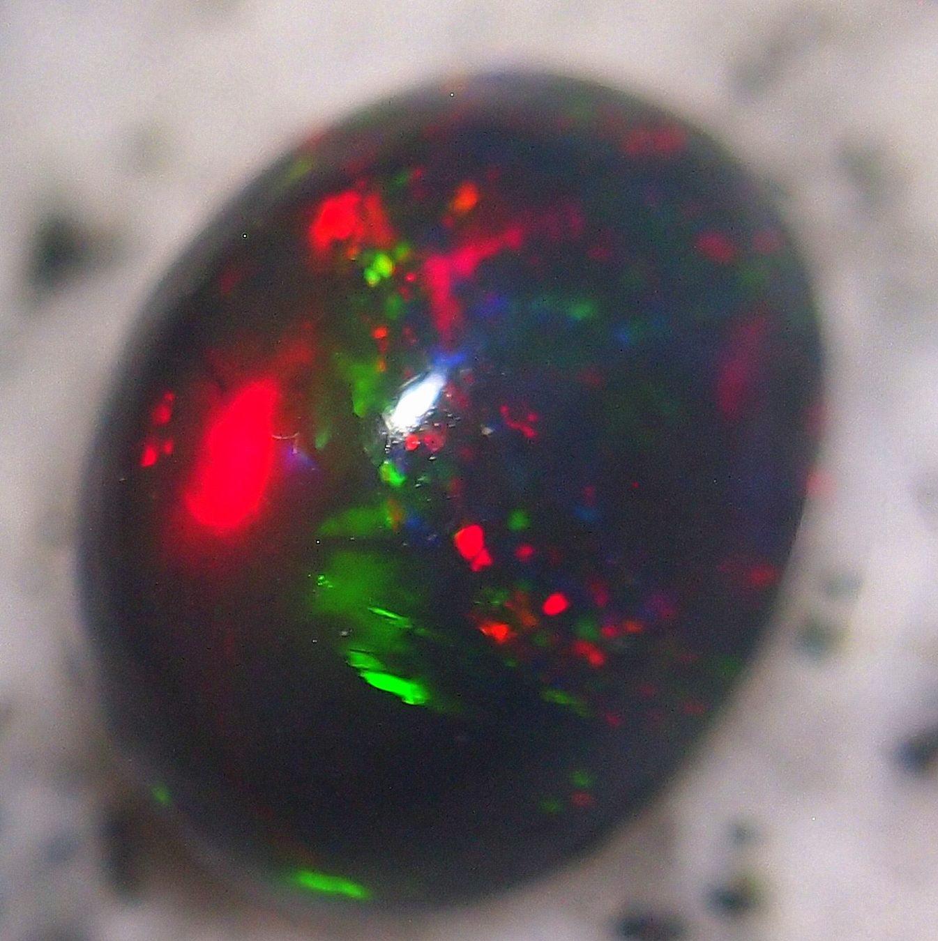 Pietre preziose: 4,4 CTS WELO-FEUEROPAL brilliant AAA – Nuovo e nell'imballaggio originale da Reinach BL venduto da blumarco 5