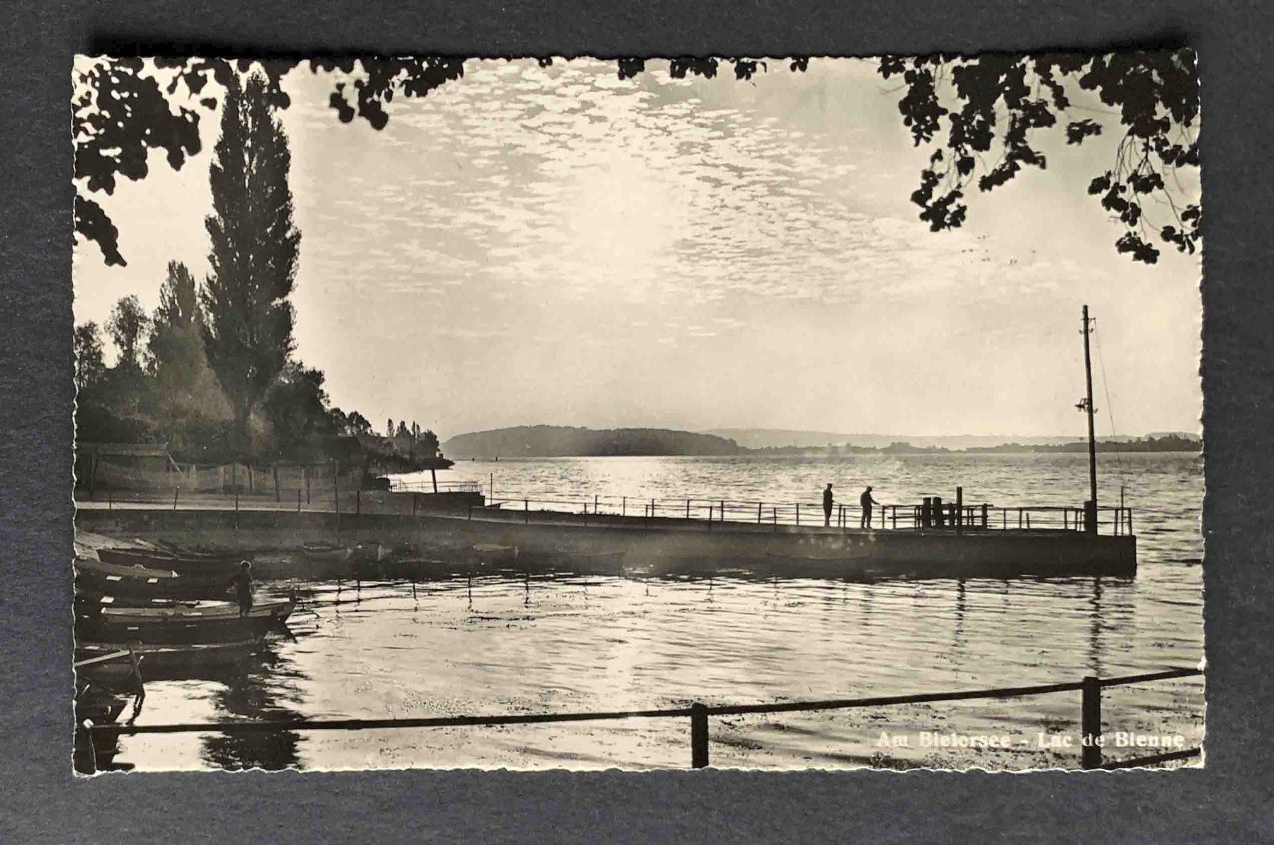 Cartoline postali: AK Am Bielersee Lac de Bienne – Usato da Goldau venduto da artelier1
