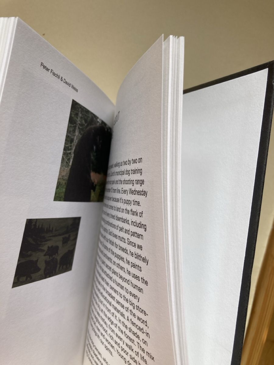 Libri: Fischli & Weiss: Are Animals People? – Usato da Zürich venduto da 000rk 5