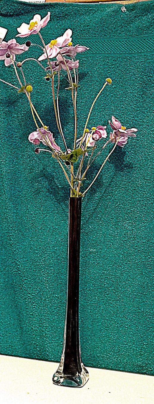 Vasi & Recipienti: Blumenvase Glasvase Vase – Usato da Baar venduto da 2cvbaar 2