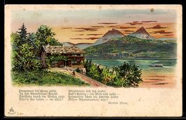 AK Schweiz, Chalet am See mit Dampfschiff und Bergen