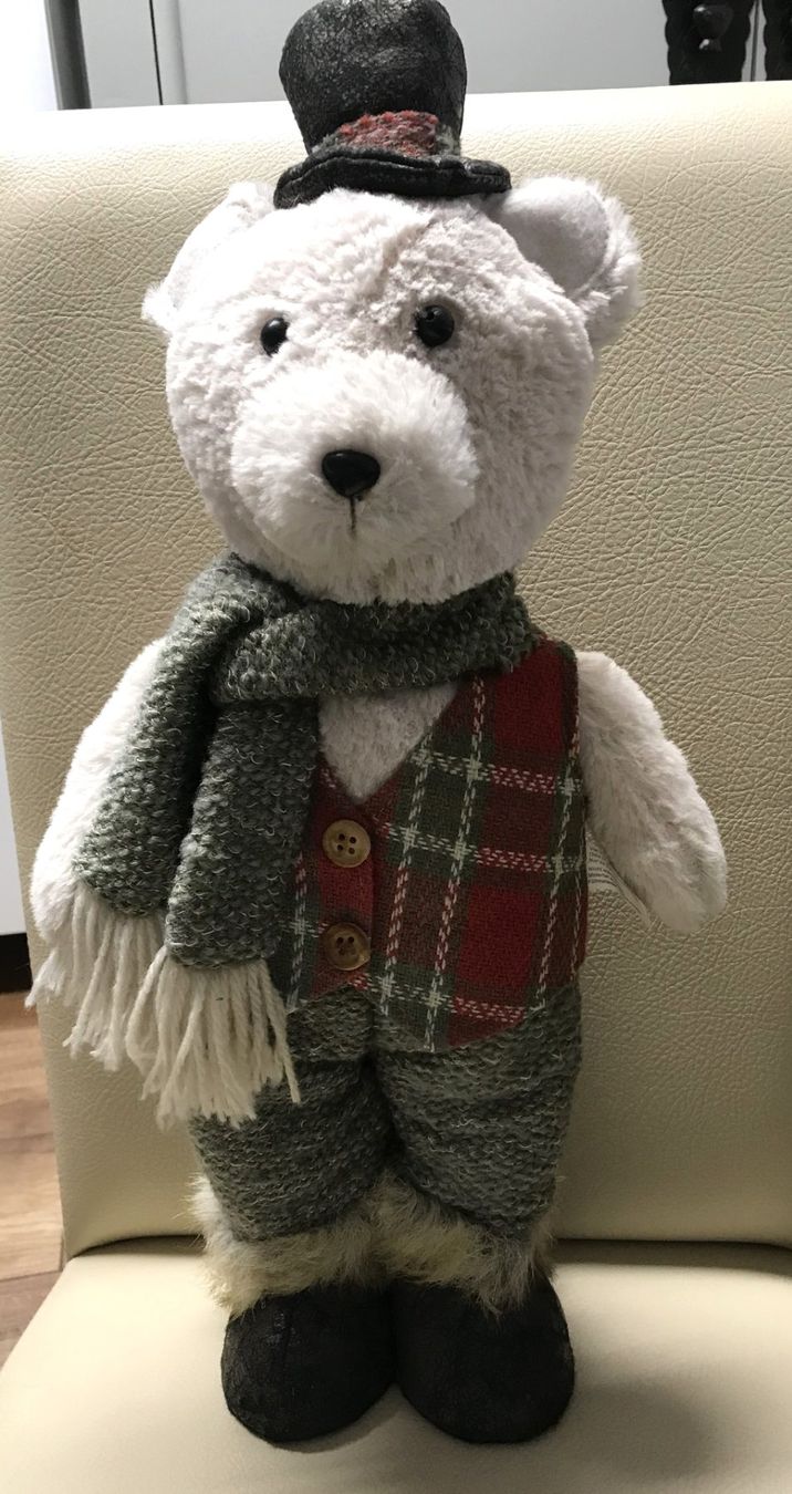 Giocattoli: Plüschtier Stofftier Teddybär – Usato da Altstätten SG venduto da Nik2009 1