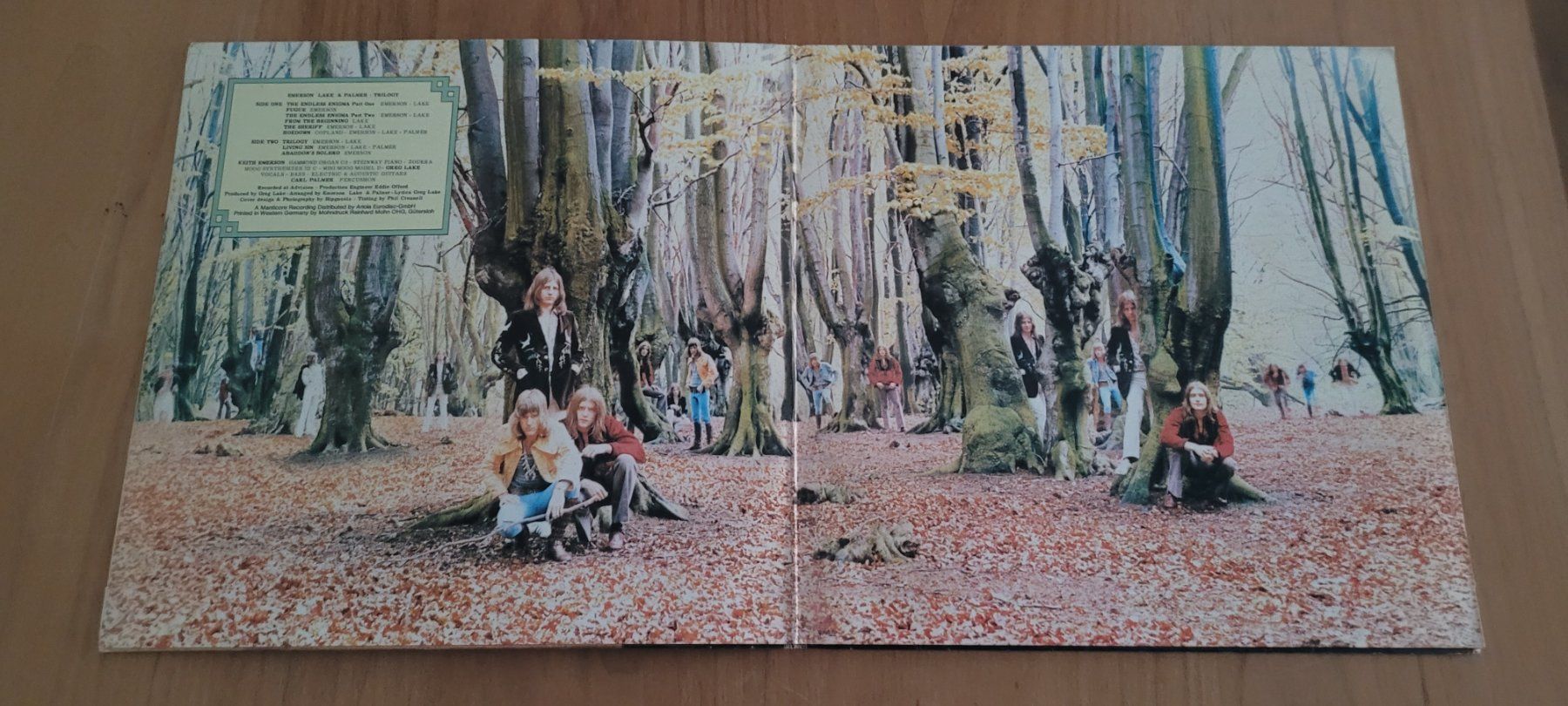 Dischi in vinile: LP Emerson Lake & Palmer – Usato da Martigny venduto da MZ-67 1