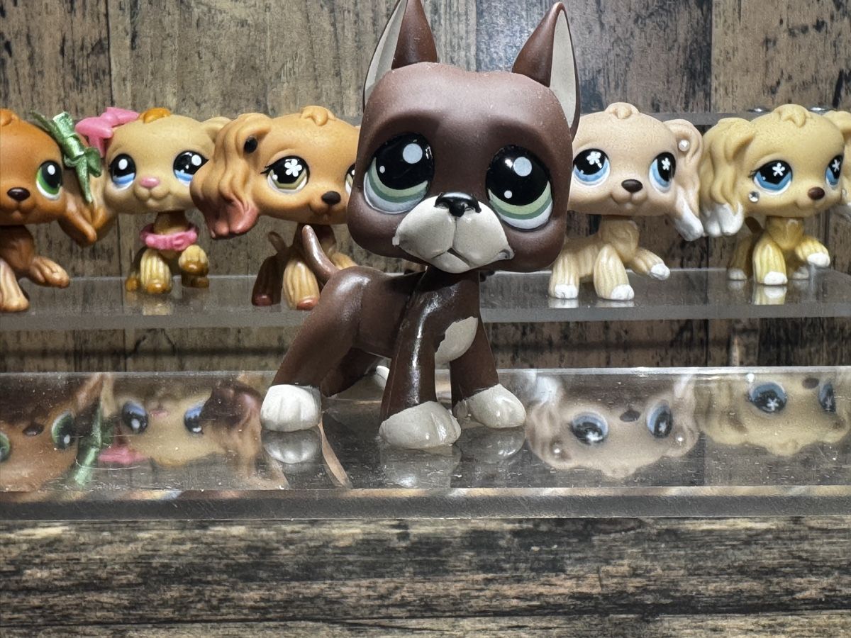 Giocattoli: Littlest pet shop great dane – Usato da Luzern venduto da Maja.C