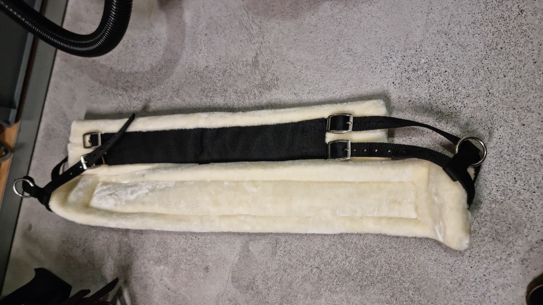 Sattel & Sattelzubehör: Longiergurt Cob – Neu (gemäss Beschreibung) aus Walenstadt von ste_9cf2 1