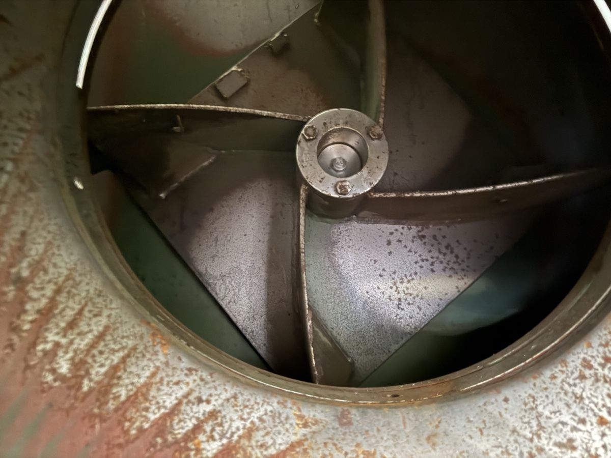 Tutte le macchine: Heugebläse Lanker – Usato da Münster venduto da werage 3