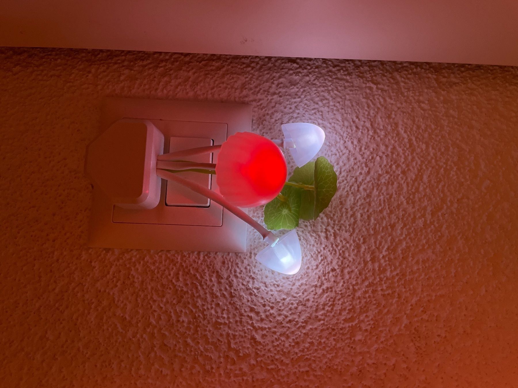 Lampade: LED Lampe – Nuovo e nell'imballaggio originale da Pieterlen venduto da Ksenia3003 3