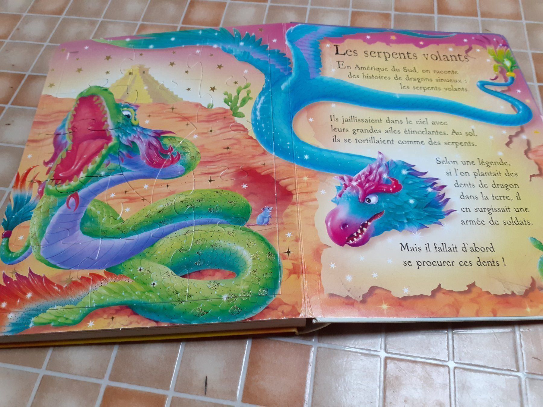 Libri: Livre puzzle dragons – Usato da Bure venduto da Srh2 2
