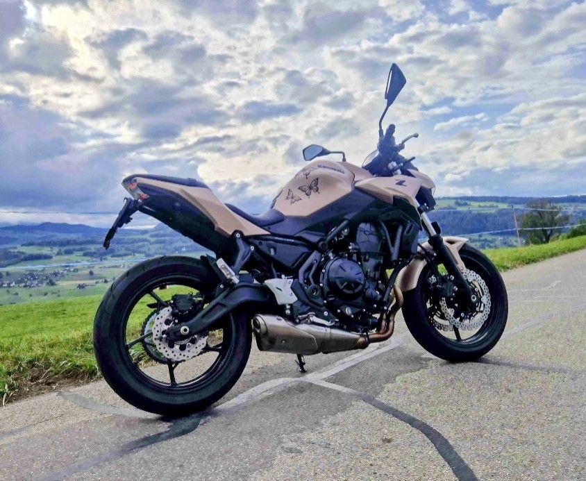 Kawasaki Strada: Kawasaki Z 650 Performence – Nuovo (secondo la descrizione) da Biglen venduto da adrian017