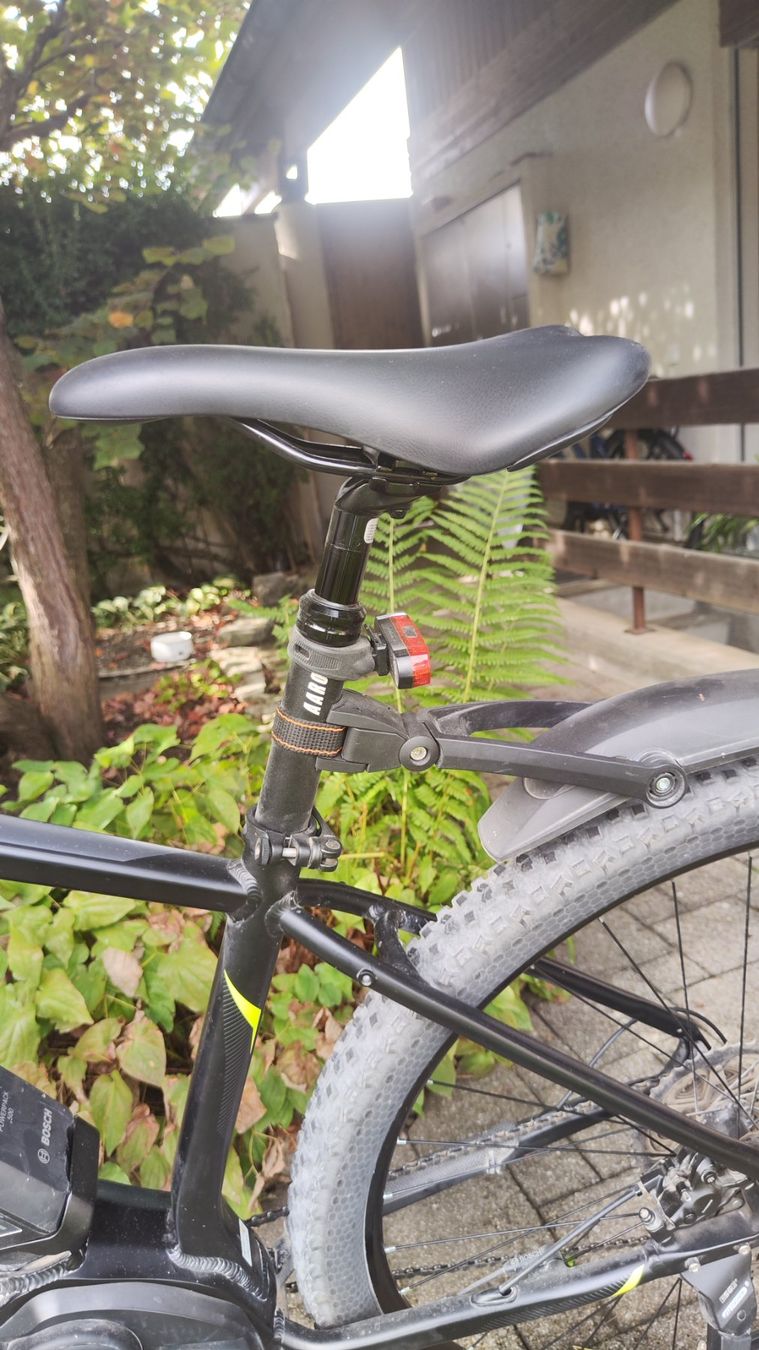 Crosswave Biciclette: E-Mountenbike – Usato da Liestal venduto da Teggenau 5