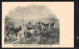 Zürich, Rudolf Koller Jubiläums-Ausste