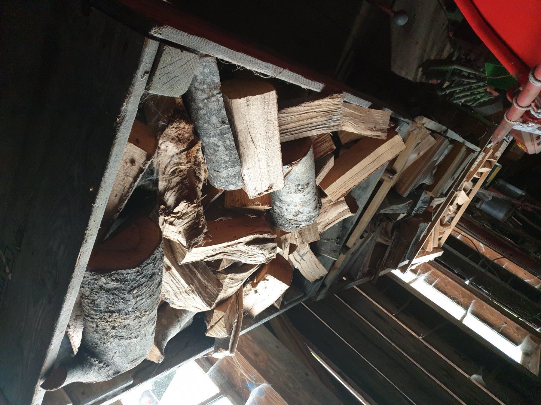 Articoli in legno: Buche Tanne Brennholz – Nuovo e nell'imballaggio originale da Ufhusen venduto da Caliban86 4