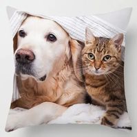 Kissenbezug Katze & Hund 45x45cm