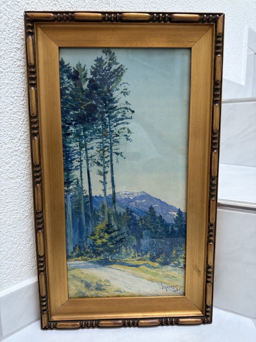 Dipinti: Aquarell antik, signiert – Usato da Biberist venduto da Momo33 5